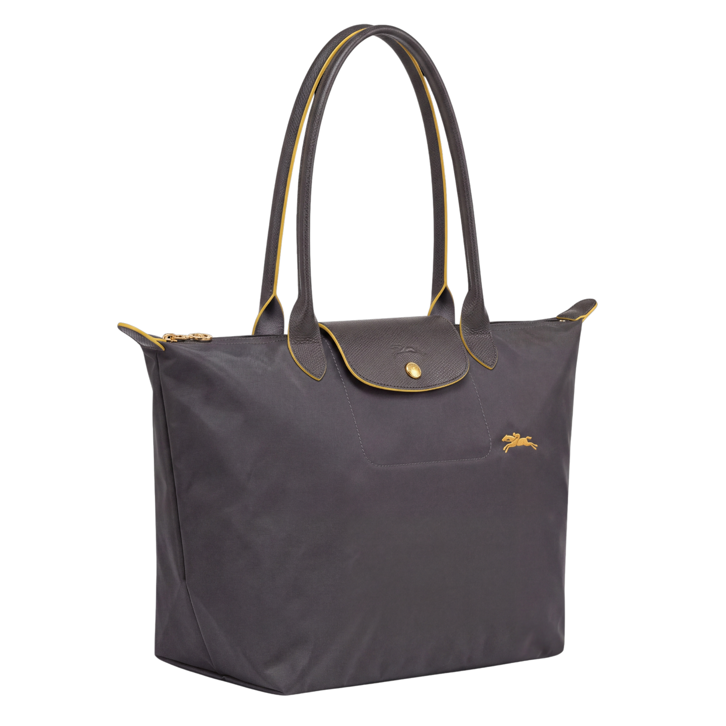 Premium Foldable Nylon Bag | Golden