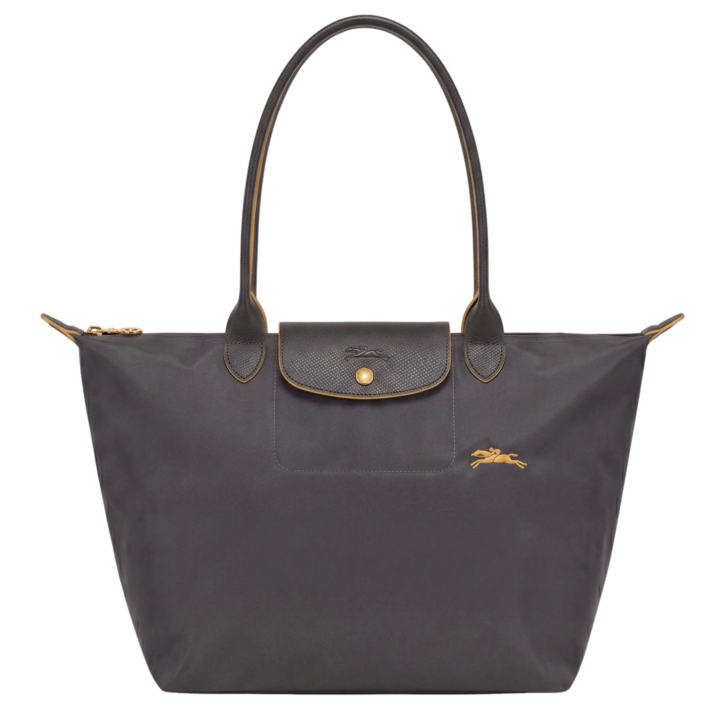 Premium Foldable Nylon Bag | Golden